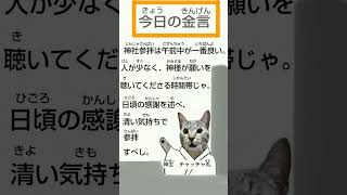 猫神神社「そうだ、神社へ行こう」スペシャル令和5年9月4日 #cat #神社参拝