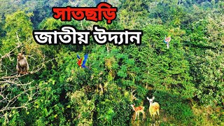 সাতছড়ি জাতীয় উদ্যান। Satchori national park।  Chunarughat Hobigong।