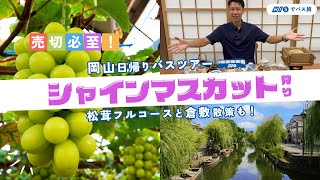 【シャインマスカット】松茸フルコースに倉敷美観地区の散策も！岡山日帰りバスツアーの旅！