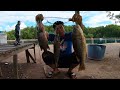 Mancing Kolam Legend Rod Terbang Masuk Kolam Tali Putus Cincin Patah Gorgon Apakah Ini ???s336