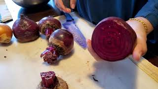 Regrow beet from beet