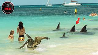 Incredible Moments Caught on Camera | Best Of Month (P24)