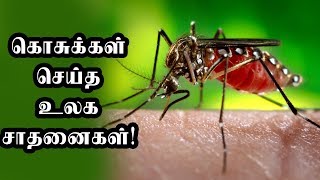 கொசுக்கள் செய்த உலக சாதனைகள் |Tamil News|