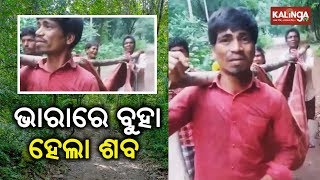 Kalahandi: Hospital denies ambulance, Woman carried on shoulders for 5 km | Kalinga TV