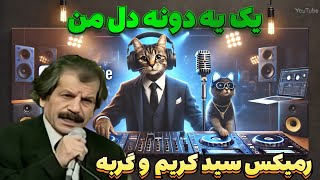 رمیکس یک یه دونه دل من محبوب خوشگل من | موزیک ترند اینستاگرام | رمیکس سید کریم