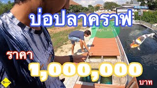 พาไปรับปลาคราฟที่ขอนแก่น X พาชมบ่อปลาคราฟราคาหลักล้าน ep 69