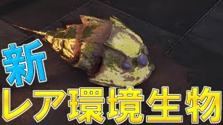 【MHW】地脈の黄金郷 新レア環境生物「ジュンキンカブトガニ」の出現場所 ～６６～【モンハン実況】