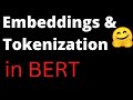 Understanding BERT Embeddings and Tokenization | NLP | HuggingFace| Data Science | Machine Learning