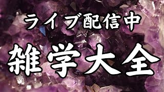 【睡眠導入用雑学】ライブ配信中｜雑学大全｜癒しの BGM付き【寝落ち用•作業用】【朝まで】