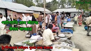 পাটগাতি বাস স্ট্যান্ড কাচা বাজার//টুংগীপাড়া কাঁচা বাজার//পাটগাতি বাজার//Pragati bus stand Bazar