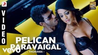 Thoranai - Pelican Paravaigal Video | Mani Sharma