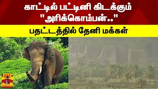 காட்டில் பட்டினி கிடக்கும் \