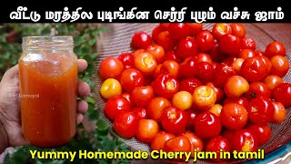 வீட்டு மரத்தில புடிங்கின செர்ரி பழம் வச்சு ஜாம் 🍒 | Yummy Homemade Cherry jam recipe without color 🍒