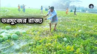 কুয়াকাটা তরমুজের রাজ্য আপনাদের স্বাগতম,কুয়াকাটা এত তরমুজের ফলন দেখলে অবাক হবেন February 28, 2023