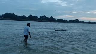 Rajanna Siricilla Vagu. Manair river.  AUG 2020.