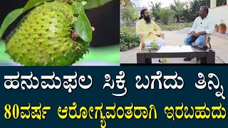 ಹನುಮಫಲ ಸಿಕ್ರೆ ಬಗೆದು ತಿನ್ನಿ | ಟೈಪ್ ಮಾಡೋಕೆ ಜಾಗ ಸಾಕಾಗೋಲ್ಲ ಅಷ್ಟು ವಿಚಾರ ಇದೆ | Hanuma phala health secreat