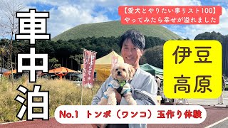 【犬連れ旅行】伊豆高原《前編》｜わんわんサーカス｜トンボ（ワンコ）玉作り体験｜城ヶ崎吊り橋散策｜海を一望するRVパーク｜伊豆稲取車中泊｜愛犬とやりたい事リストNo.1