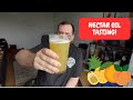 NECTAR OIL (DARK ROCK BREWING) | TASTING & REVIEW