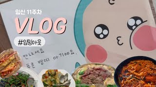 [VLOG] 임신 11주차 드디어 임밍아웃 | 태아보험 가입\u0026조리원 선택✅ | 먹덧 생활비 초과