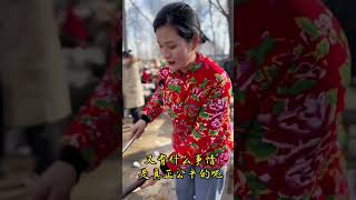 准备过年了，铜石大集偶遇貂蝉妹妹#shorts