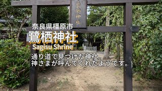 【鷺栖神社】奈良県橿原市。通り道、突然現れた神社です。御祭神は、誉田別命、天児屋根命、天照皇大神。#神社 #奈良 #橿原市 #癒し