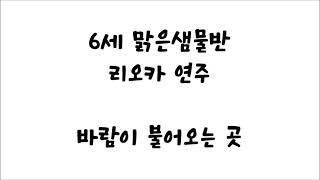 맑은샘물 - 바람이 불어오는 곳(리오카 연주)│2024 사랑이 퍼지는 사과나무 음악회