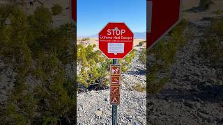 Warning: Extreme Heat Danger | Mesquite Flat Sand Dunes | Death Valley NP | Road Trip Series🚗