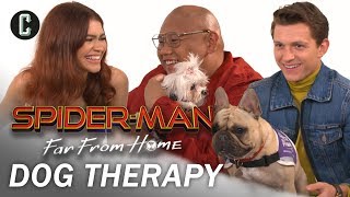 Tom Holland, Zendaya, and Jacob Batalon Play with Therapy Dogs