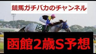 【函館2歳S】2014の予想で馬場レベルから穴馬を弾き出す！