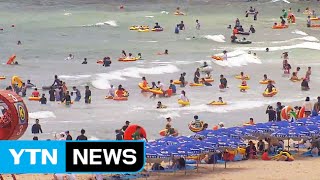 활기 찾은 해운대해수욕장…태풍 예보에도 '북적' / YTN