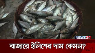 বরিশাল থেকে ইলিশের বাজারের খবর | News24