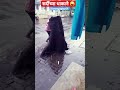 पावसाळा सुरू झाल्यावर 😜🤣😀🤪😝🫢 shorts funny youtube comedy plz subscribe mi 🙏