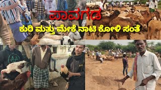 ಪಾವಗಡ ಕುರಿ ಮತ್ತು ಮೇಕೆ ಮಾರುಕಟ್ಟೆ Pavagada sheep market and goat market Pavagada taluk Tumkur district