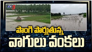 పొంగి పొర్లుతున్న వాగులు వంకలు Crops Damaged Due To Heavy Rains | TV5 News Digital