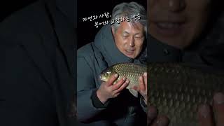 교감TV - 충주 소류지 #밤낚시 4짜붕어 #대물낚시 #shorts