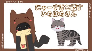 【a1857 channel 切り抜き】猫語で会話するいちはちさん