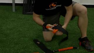 Python Striker Intro