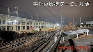 宇都宮貨物ターミナル駅　かもつれっしゃ 貨物列車　EF65  EH500 入線、通過、出発シーン