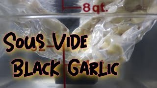 Sous Vide Black Garlic? Is it worth it?