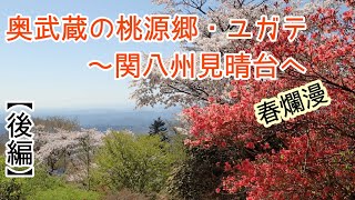 【後編】奥武蔵の桃源郷ユガテから、好展望の関八州見晴台へ   @アウトドア・山大好きちゃんねる