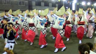 南越谷阿波踊り２０１６㉓