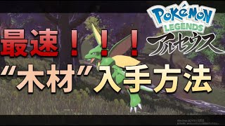 最速！木材入手方法はこれだ！【ポケモンレジェンズアルセウス】