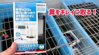 金魚や亀の水槽の底の糞取りに！水作さん　ダストラップ