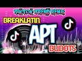 APT (Rose & Bruno Mars) BREAKLATIN Budots Tiktok Remix DJ TONS