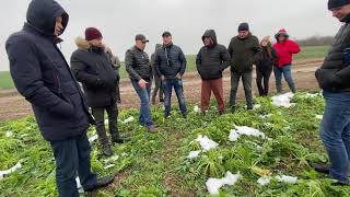 🔥Чим замінити мінеральні добрива❓Зимовий семінар на Львівщині про сидерати від Saatbau❗️