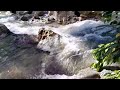 exploring the great noisy river fyp viral viralvideo trending noisyriver travel tourguide .