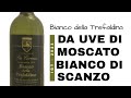 Vini e Grappa da Scanzo come il bianco ed il rosso della Trefaldina e la Grappa di Moscato di Scanzo