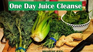 One Day Juice Cleanse - Part 1 - Juicing Tips
