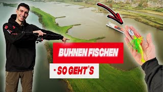 ANGELN in der BUHNE! So FÄNGST du Zander, Barsch \u0026 Hecht