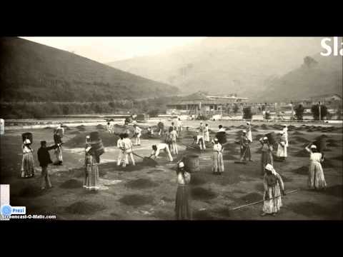 Abolitionist Movement Video Abolitionist Movement Video